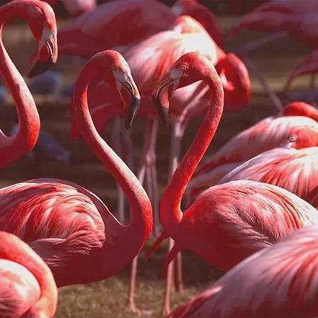 Antico Centro Quartu