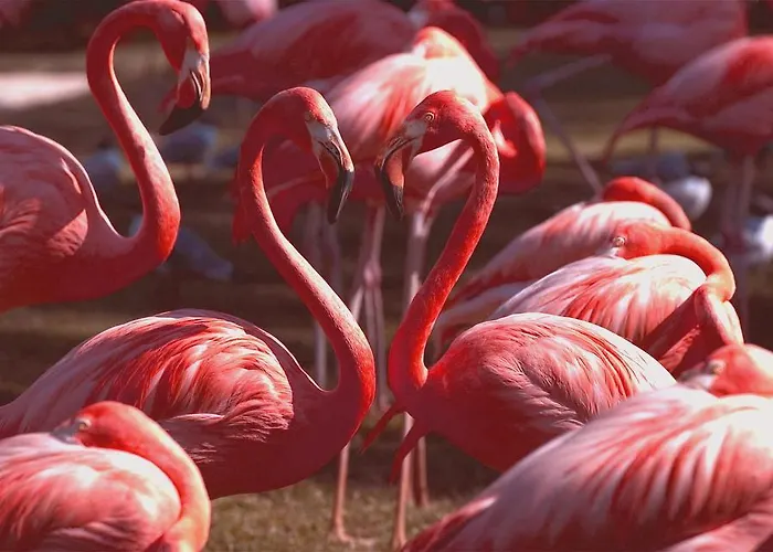 Antico Centro Quartu